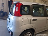 Fiat  Panda FIAT  / 2011 / 5P / BERLINA 1.2 69CV E6 EASY #47