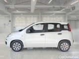  Fiat  Panda FIAT  1.2 69CV POP #8