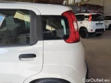  Fiat  Panda FIAT  1.2 69CV POP #71
