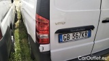 Vito