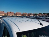  Citroen  Berlingo CITROEN  / 2018 / 3P / furgón derivado de turismo Talla M BlueHDi 100 CONTROL (AC2) #14