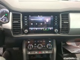  Skoda  Kodiaq  Business 2.0 TDI 150CV BVA7 E6d #7
