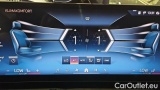  Bmw  Serie 5 520d A #14
