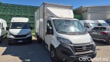 Ducato