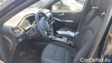  Ford  Kuga 2.5 Benzina FHEV 190CV AWD ST-Line Aut #7