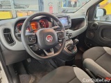  Fiat  Panda FIAT  / 2011 / 5P / BERLINA 0.9 TWINAIR TURBO 85CV WILD 4X4 #3