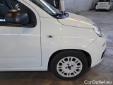  Fiat  Panda FIAT  / 2011 / 5P / BERLINA 1.0 70CV SeS HYBRID #38