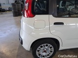  Fiat  Panda FIAT  / 2011 / 5P / BERLINA 1.0 70CV SeS HYBRID #46