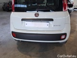  Fiat  Panda FIAT  / 2011 / 5P / BERLINA 1.0 70CV SeS HYBRID #50