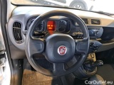  Fiat  Panda FIAT  / 2011 / 5P / BERLINA 1.0 70CV SeS HYBRID #106