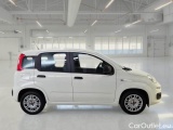  Fiat  Panda FIAT  / 2011 / 5P / BERLINA 1.0 70CV SeS HYBRID #7