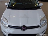  Fiat  Panda FIAT  / 2011 / 5P / BERLINA 1.2 69CV E6 LOUNGE #30