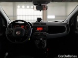  Fiat  Panda FIAT  / 2011 / 5P / BERLINA 1.2 69CV SeS E6D-TEMP EASY #3