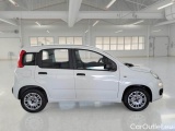  Fiat  Panda FIAT  / 2011 / 5P / BERLINA 1.2 69CV SeS E6D-TEMP EASY #7