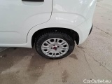  Fiat  Panda FIAT  / 2011 / 5P / BERLINA 1.2 69CV SeS E6D-TEMP EASY #19