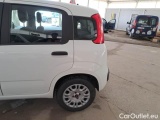  Fiat  Panda FIAT  / 2011 / 5P / BERLINA 1.2 69CV SeS E6D-TEMP EASY #64
