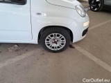  Fiat  Panda FIAT  / 2011 / 5P / BERLINA 1.2 69CV SeS E6D-TEMP EASY #76