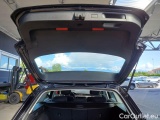  Volkswagen  Passat VOLKSWAGEN  / 2019 / 5P / STATION WAGON VAR. 2.0TDI SCR EVO 110KW BUSINESS DSG #100