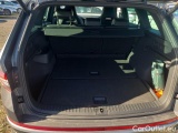  Skoda  Kodiaq  (2016)  2.0TSI 180 RS 4x4 AT #12