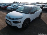 C4 Cactus