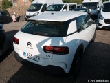 C4 Cactus