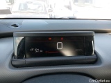 C4 Cactus
