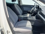  Seat  Leon  Style XL 2.0 TDI 150CV AT7 E6d #6