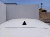  Seat  Leon  Style XL 2.0 TDI 150CV AT7 E6d #9