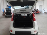  Fiat  Panda FIAT  / 2012 / 5P / BERLINA 1.0 70CV HYBRID EURO 6D VAN 4 P. STREET #70