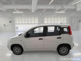  Fiat  Panda FIAT  / 2012 / 5P / BERLINA 1.2 69 CV VAN EURO6D 4 POSTI EASY #8