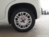  Fiat  Panda FIAT  / 2012 / 5P / BERLINA 1.2 69 CV VAN EURO6D 4 POSTI EASY #19
