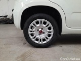  Fiat  Panda FIAT  / 2012 / 5P / BERLINA 1.2 69 CV VAN EURO6D 4 POSTI EASY #18