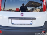  Fiat  Panda FIAT  VAN 2016 POSTE 1.3 MJT 80 CV EURO6 VAN SeS 2 POSTI POP #53