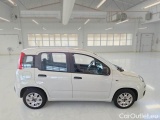 Fiat  Panda FIAT  / 2012 / 5P / BERLINA 1.3 MJT 80 CV VAN EURO6 SeS 4 POSTI EASY #7