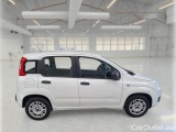  Fiat  Panda FIAT  / 2011 / 5P / BERLINA 1.2 69CV E6D-TEMP EASY #7