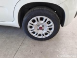  Fiat  Panda FIAT  / 2011 / 5P / BERLINA 1.2 69CV E6D-TEMP EASY #20