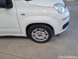  Fiat  Panda FIAT  / 2011 / 5P / BERLINA 1.2 69CV E6D-TEMP EASY #49