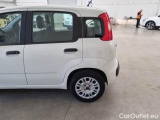  Fiat  Panda FIAT  / 2011 / 5P / BERLINA 1.2 69CV E6D-TEMP EASY #72