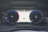  Skoda  Karoq  Selection 4x4 2.0 TDI 110KW AT7 E6d #6