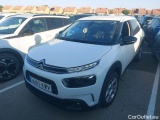 C4 Cactus