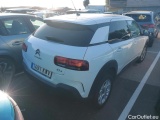 C4 Cactus