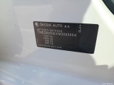  Skoda  KAMIQ SKODA  1.0 TSI 81kW (110CV) DSG Ambition #15