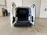 Fiorino