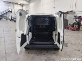Fiorino