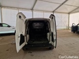 Fiorino