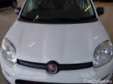  Fiat  Panda FIAT  / 2012 / 5P / BERLINA 1.3 MJT 80 CV VAN EURO6 SeS 4 POSTI EASY #25