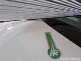 Volkswagen  Caddy VOLKSWAGEN  / 2015 / 4P / VETT. FURGONATA 2.0 TDI 122CV EURO6 4MOTION VAN #25