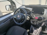Fiorino