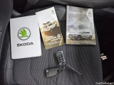  Skoda  Kodiaq  Style 4x4 2.0 TDI 147KW AT7 E6d #14