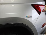  Skoda  Kodiaq  Style 4x4 2.0 TDI 147KW AT7 E6d #110